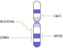 хромосома, гены, генетическое заболевание