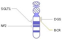 хромосома 22, гени, генетичні захворювання