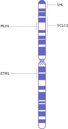 хромосома 3, гены, генетические заболевания