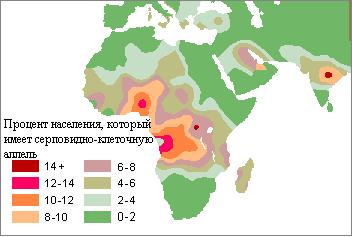 эпидемиологоия, серповидно-клеточная анемия, генетика, хромосома 11