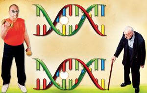 генетика, старость, ген, долголетие, генетические вариации