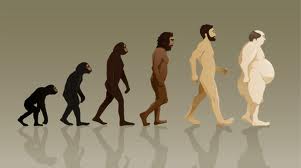 эволюция, адаптация, природный отбор, генетика
